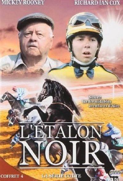 سریال ماجراهای اسب سیاه 1993 – 1990 The New Adventures of the Black Stallion  ارتقاء کیفیت با استفاده از تکنولوژی هوش مصنوعی