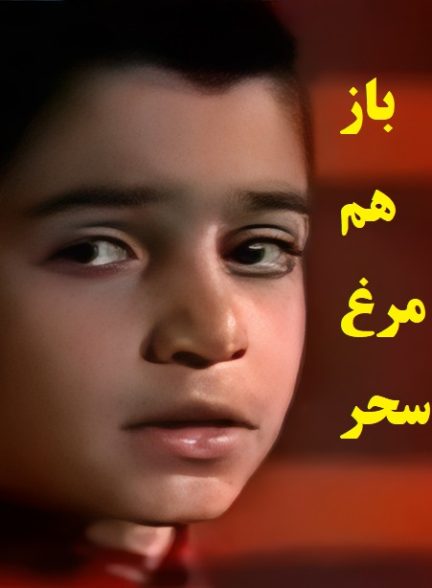 کلیپ خاطره انگیز باز هم مرغ سحر سال 1371 ارتقاء کیفیت با استفاده از تکنولوژی هوش مصنوعی